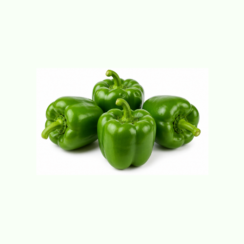 Capsicum